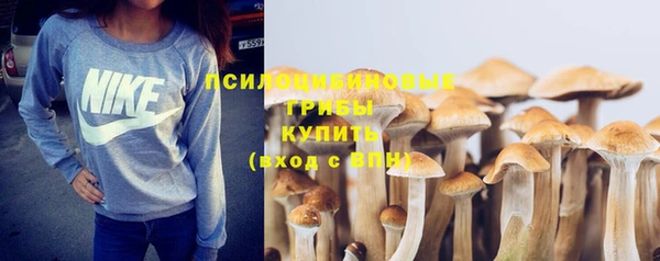 PSILOCYBIN Навашино