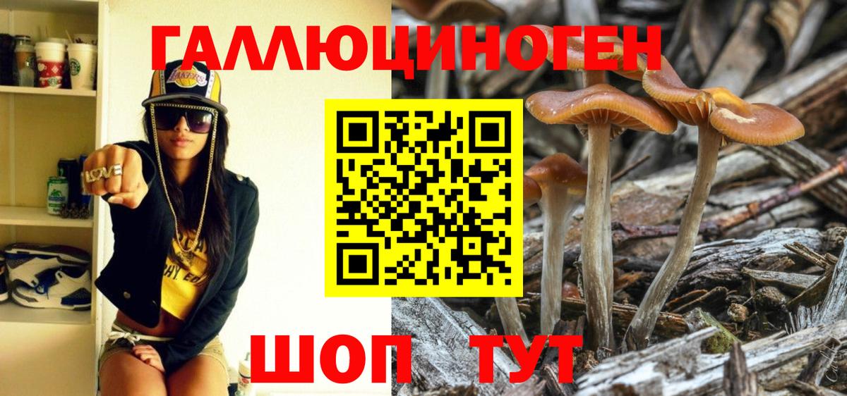 Полысаево  Псилоцибиновые грибы прущие грибы  Вход с VPN  сколько стоит  Галлюциногенные грибы MAGIC MUSHROOMS 